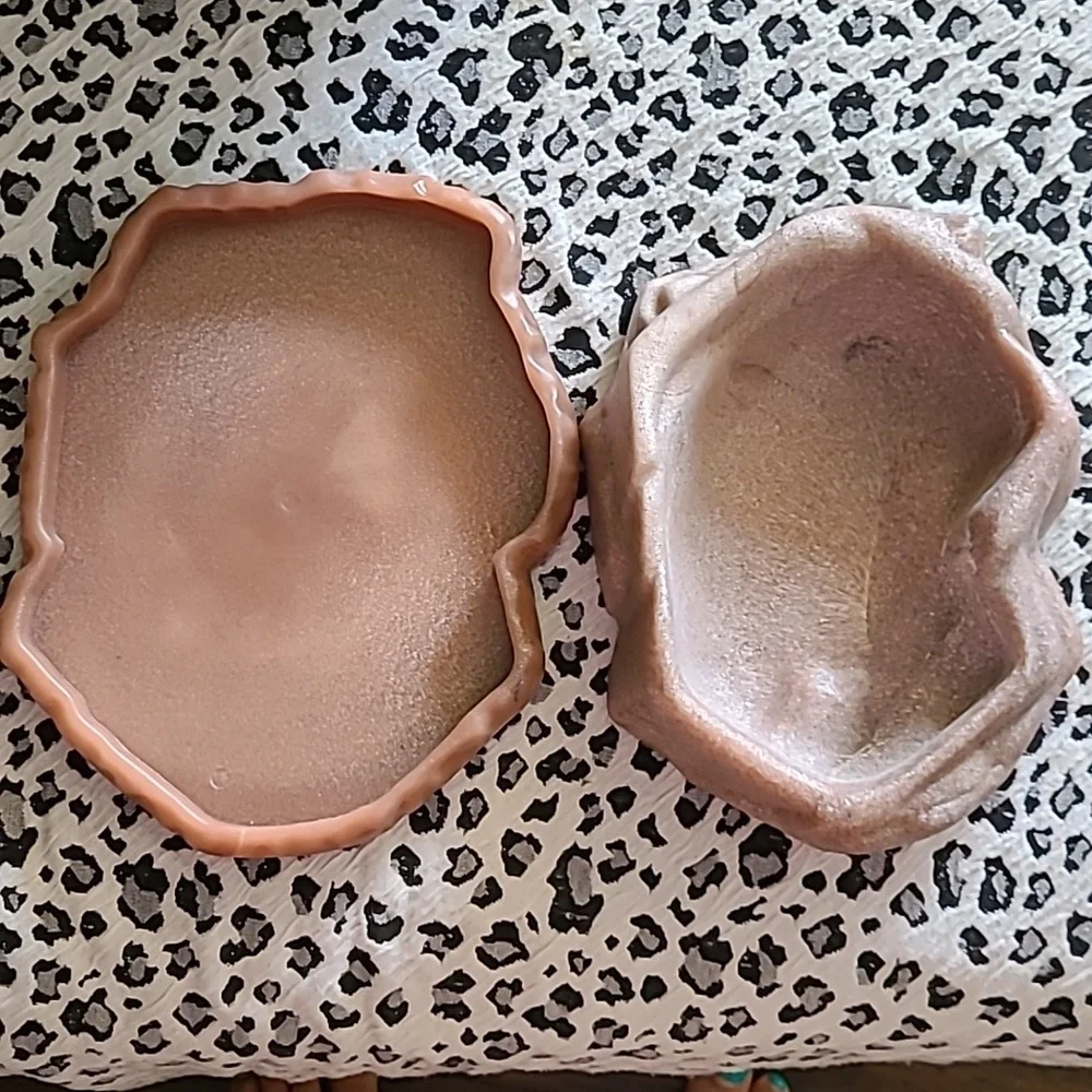 Reptile combo food/water dish. by ZOO MED size Large